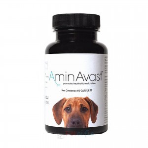 AminAvast 胺腎 1000mg 21磅以上貓犬腎臟保健品 60粒