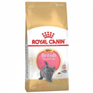 Royal Canin 幼貓乾糧 - British Shorthair Kitten 英國短毛幼貓專屬配方 10kg