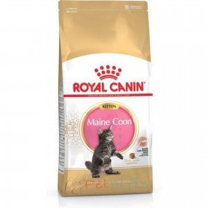 Royal Canin 幼貓乾糧 - Maine Coon Kitten 緬因幼貓專屬配方 10kg