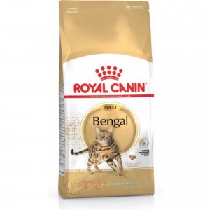 Royal Canin 成貓乾糧 - Bengal 豹貓成貓專屬配方 10kg