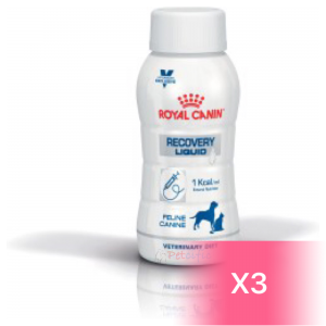 Royal Canin 貓/犬用處方營養液 - Recovery Liquid 康復支援配方 200ml (3支)