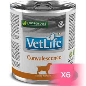 Vet Life 犬用處方罐頭 - Convalescence 高營養配方 300g (6罐)