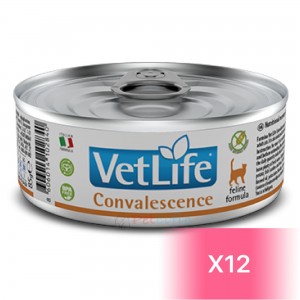 Vet Life 貓用處方罐頭 - Convalescence 高營養配方 85g (12罐)