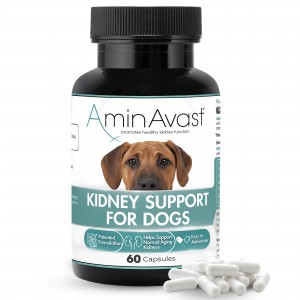 AminAvast 胺腎 1000mg 21磅以上貓犬腎臟保健品 60粒(新舊包裝隨機)
