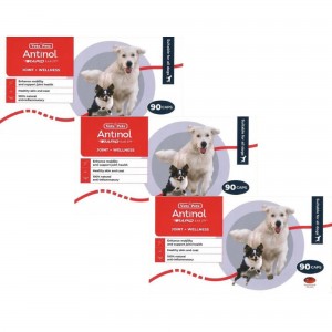 Vetz Petz Antinol Rapid 犬用天然青口關節精華(升級版) 270粒(3盒90粒優惠裝)