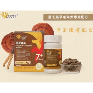 Cosset 愛寵健 靈芝蟲草老年犬專用配方膠囊 80粒
