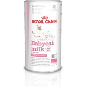 Royal Canin 法國皇家 BB貓奶粉 300g