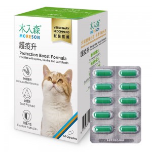 木入森 護疫升 貓用免疫力補充品 60粒