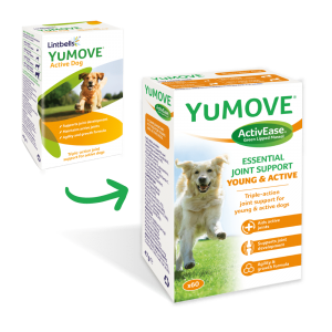 Lintbells YuMOVE® Active Dogs 活力關節寶 60粒