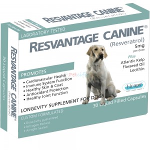 Resvantage® Canine 30 Capsules 【Buy 2 PCS ,Free: Petrum360 Sea Cucumber Dietary Supplement For Pets 30 Capsules】