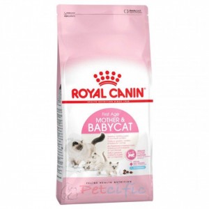 ROYAL CANIN First Age Mother & Babycat Dry 離乳貓及母貓營養配方乾糧 2kg