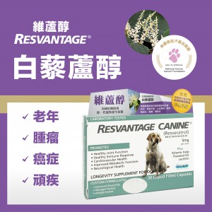 Resvantage® 維蘆醇 白藜蘆醇 (犬用) 30粒 