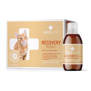 RECOACTIV 貓用處方營養液 - Recovery Renal 腎貓營養補充液 90ml (3支)