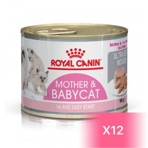 Royal Canin Kitten Canned Food - Mother & Babycat 195g (12 Cans)