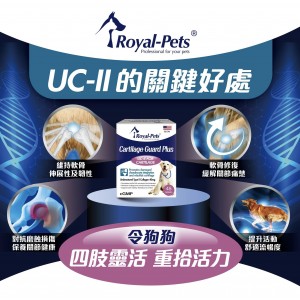 Royal-Pets 犬用UC-ll 高效軟骨保 45粒