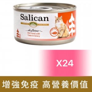 Salican 挪威森林貓罐頭 - 吞拿魚(肉汁) 85g (24罐)