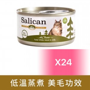 Salican 挪威森林貓罐頭 - 純白肉吞拿魚啫喱 85g (24罐)