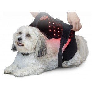 HeaLED 寵物LED光療外套 (貓貓及小型犬專用)